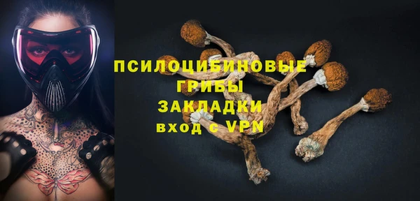 дурь Наволоки
