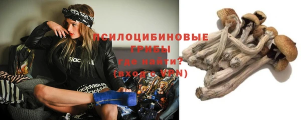 дурь Наволоки
