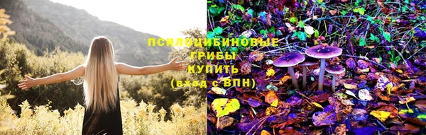 дурь Наволоки