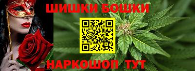 стафф Шебекино