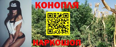 стафф Шебекино