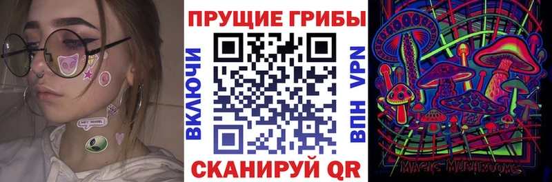 купить наркоту  Североморск  Псилоцибиновые грибы MAGIC MUSHROOMS 