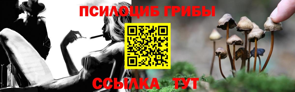 Североморск  Галлюциногенные грибы прущие грибы  Вход с VPN 
